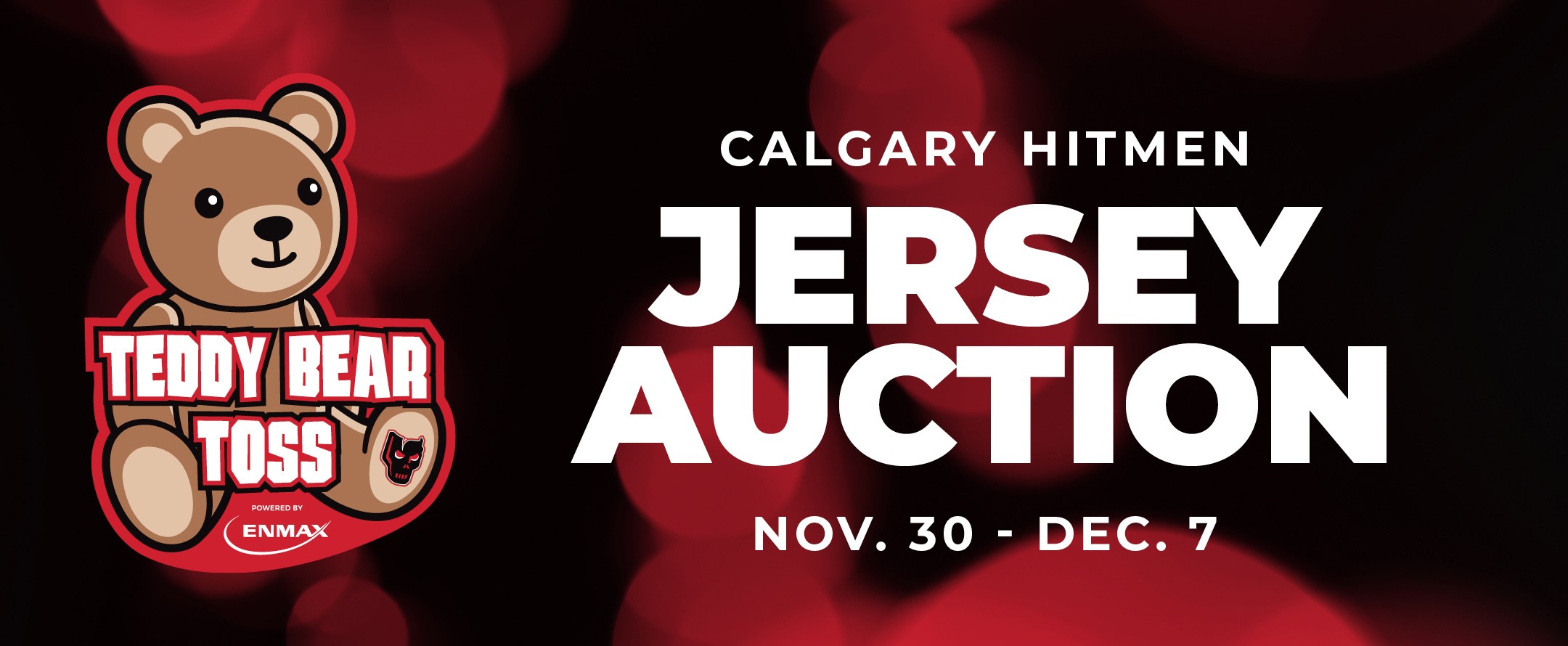 Teddy Bear Toss Jersey Auction