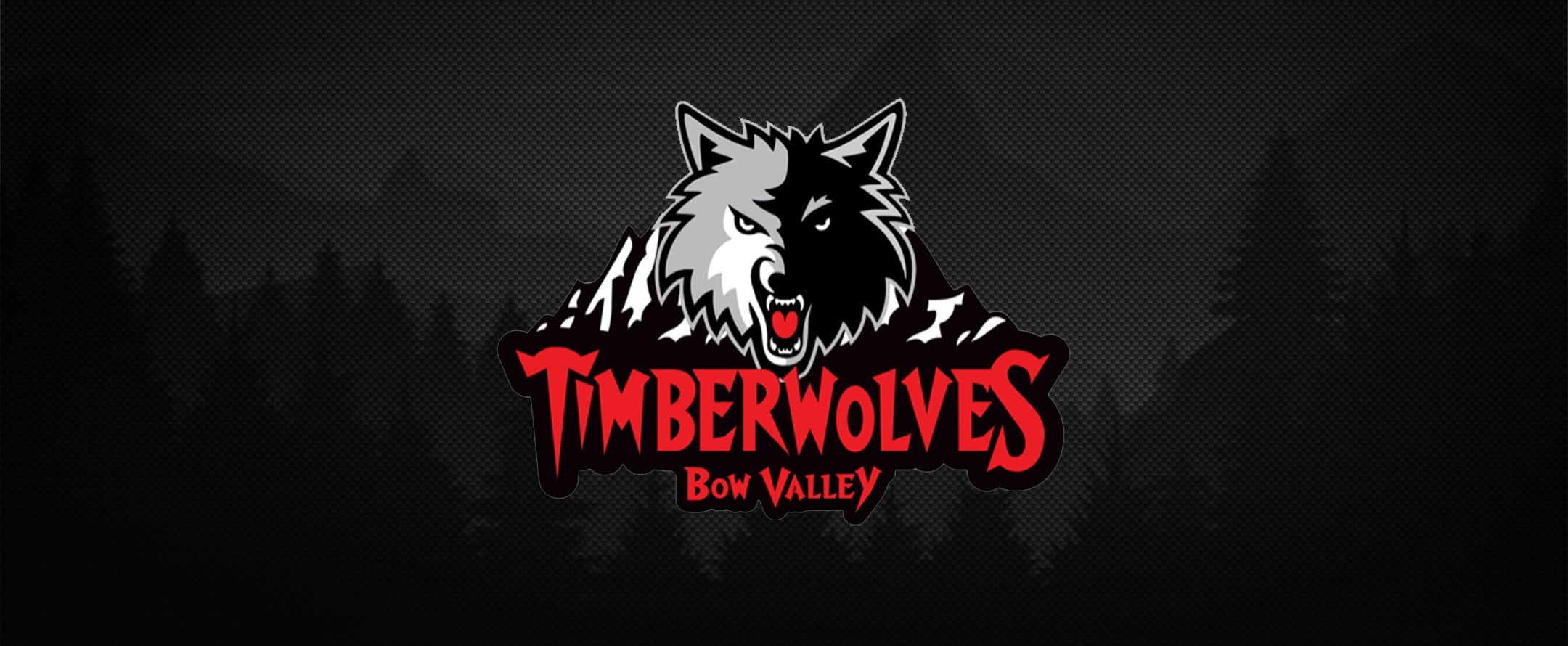 Timberwolves Hockey Online Auction