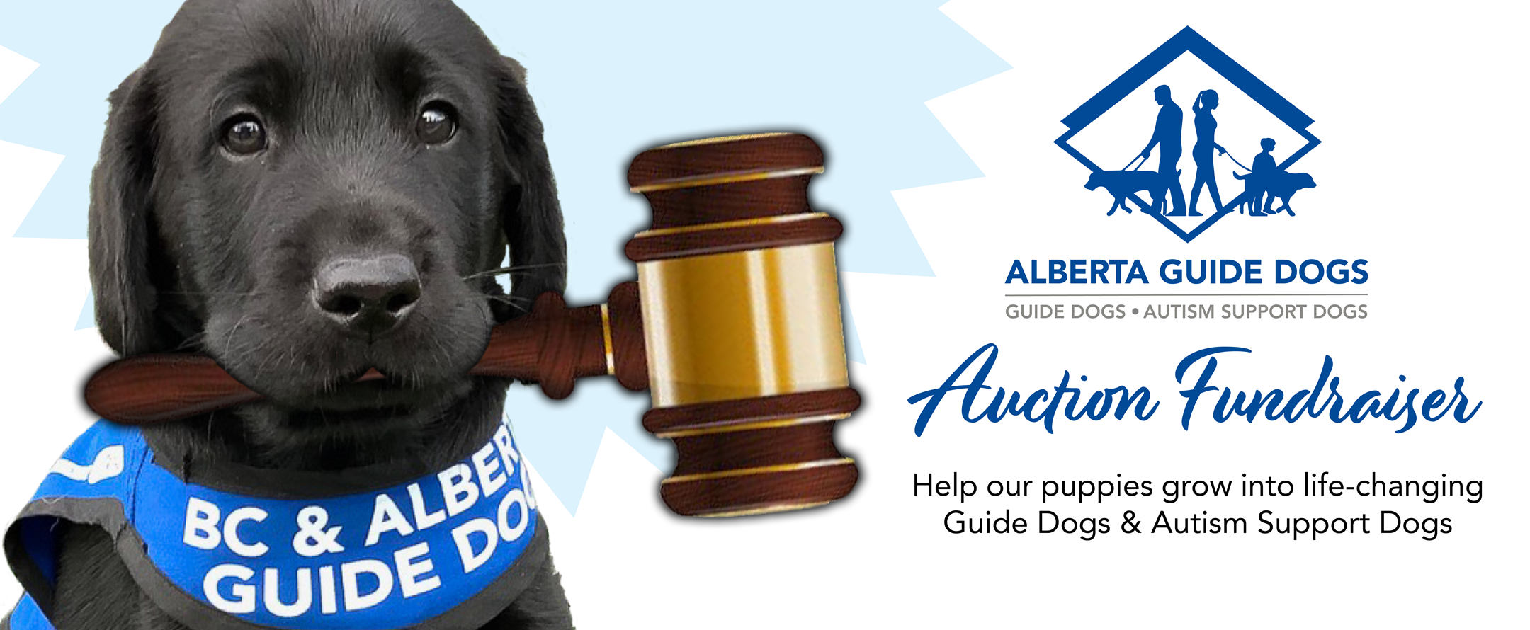 Alberta Guide Dogs Online Auction Fundraiser