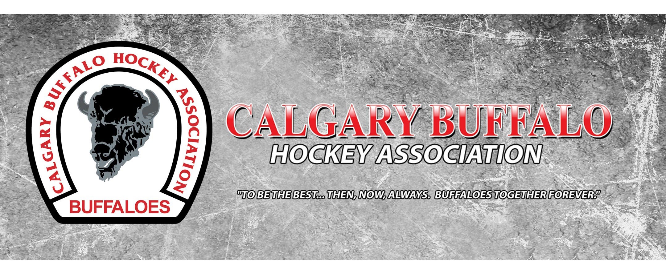 Calgary U18 AAA Buffaloes Hockey Fundraiser