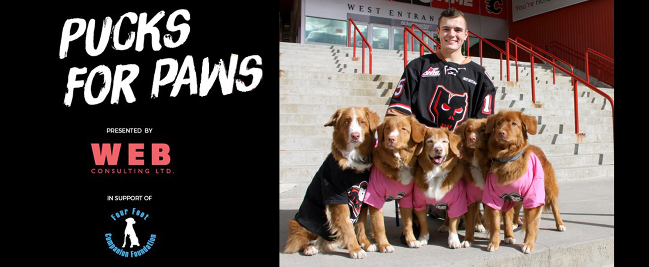 Pucks for Paws