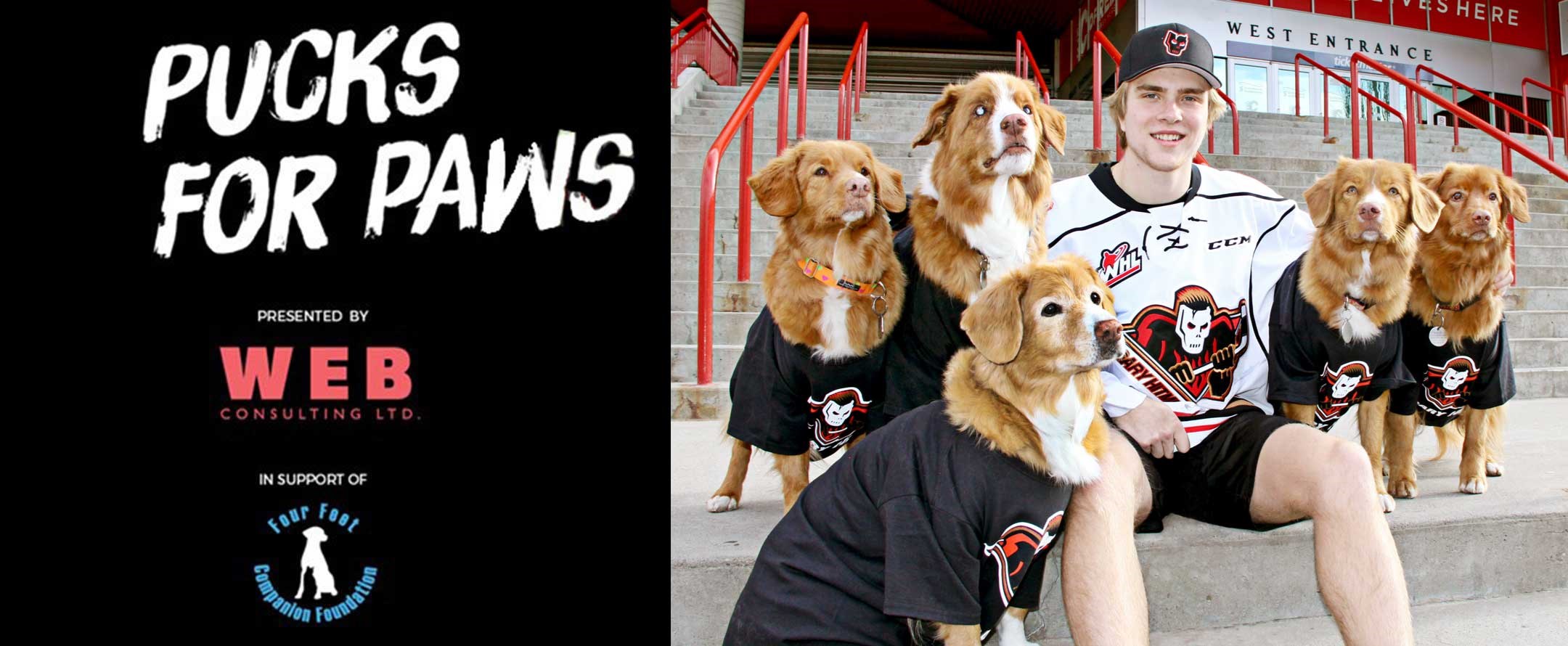 Pucks for Paws
