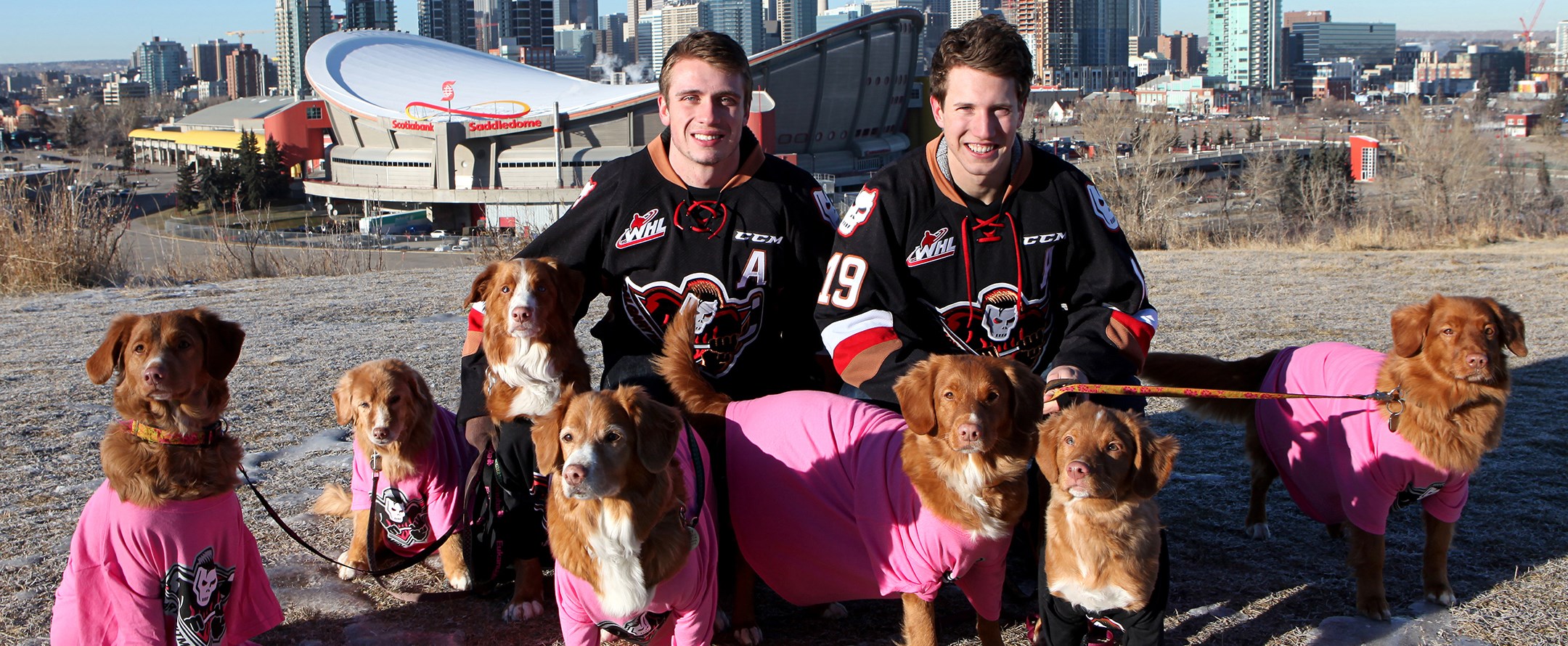 Pucks for Paws