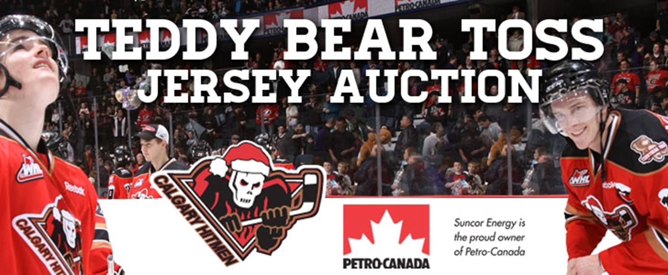 Teddy Bear Toss Jersey Auction