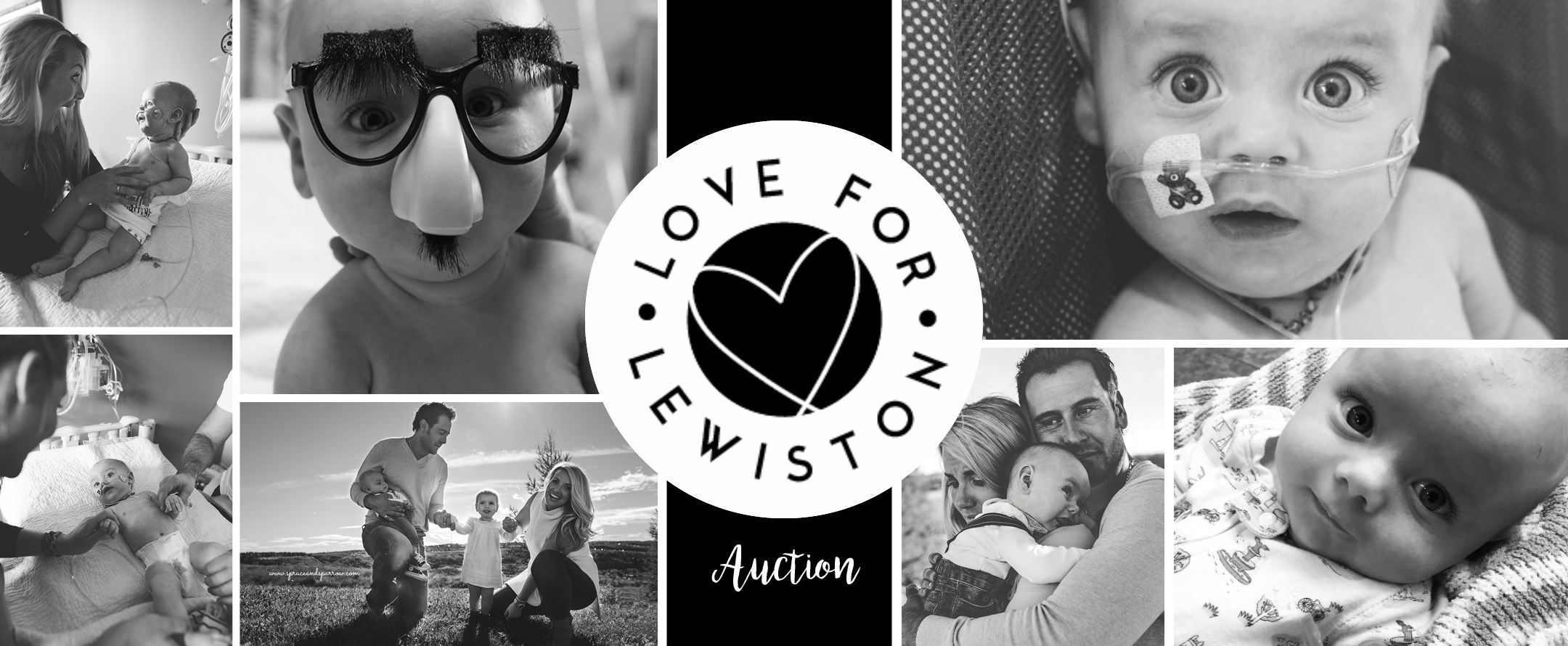 Love for Lewiston Auction
