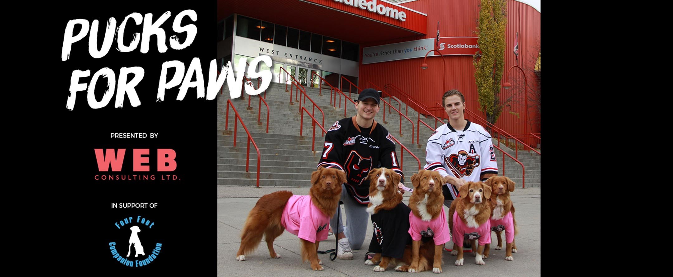 Pucks for Paws 